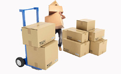 removals Hampton Park