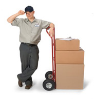 removals Mulgrave